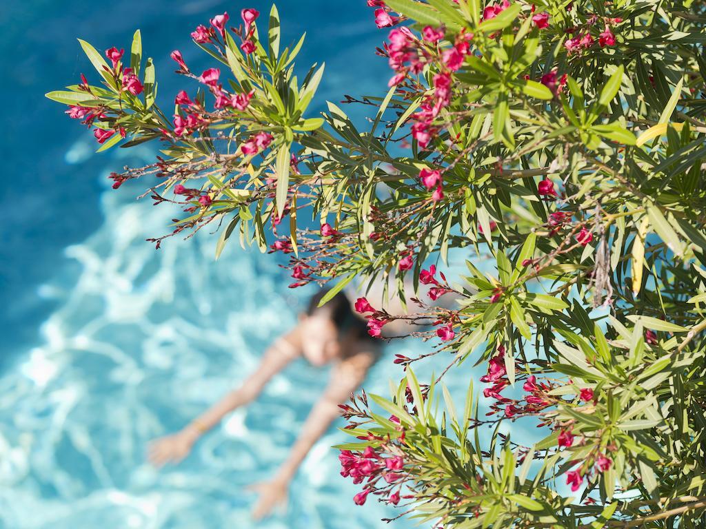 كانيو سور مير Le Val Duchesse Hotel & Appartements المظهر الخارجي الصورة